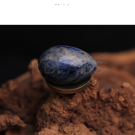 Natural Sodalite Egg Figurines Statues for Home Office Desktop Decoration PW-WG1DC51-16-1