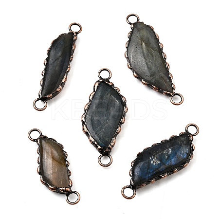 Brass Pave Natural Labradorite Feather Connector Charms G-Q350-03A-1