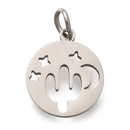 304 Stainless Steel Charms STAS-Z119-07P-1