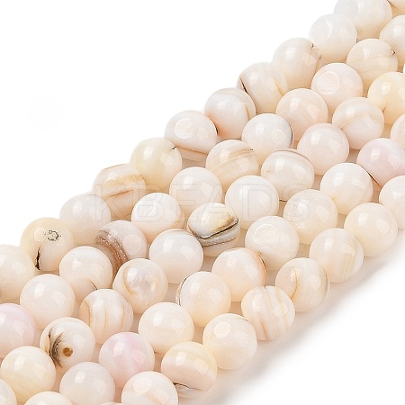 Natural Freshwater Shell Beads Strands SHEL-T011-02-8mm-1