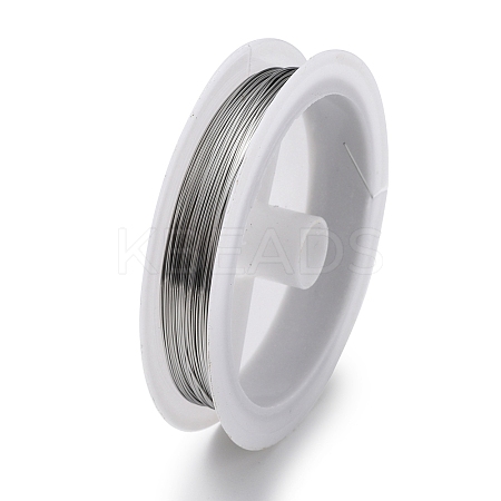 Non-Tarnish 10 Rolls 304 Stainless Steel Wire TWIR-H001-01F-P-1