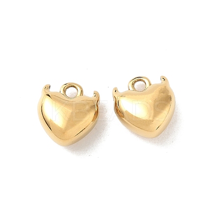 304 Stainless Steel Charms KK-D503-10G-1