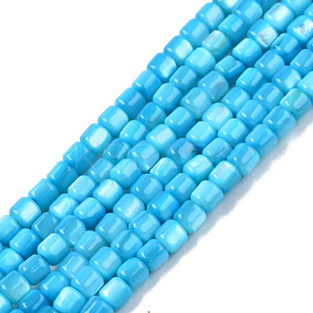 Natural Freshwater Shell Beads Strands SHEL-N003-33-A03-1
