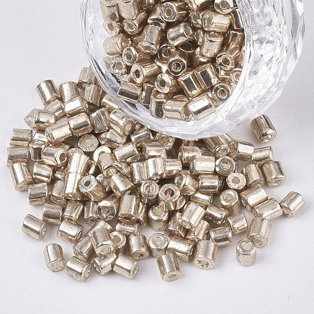 6/0 Two Cut Glass Seed Beads SEED-S033-03B-01-1