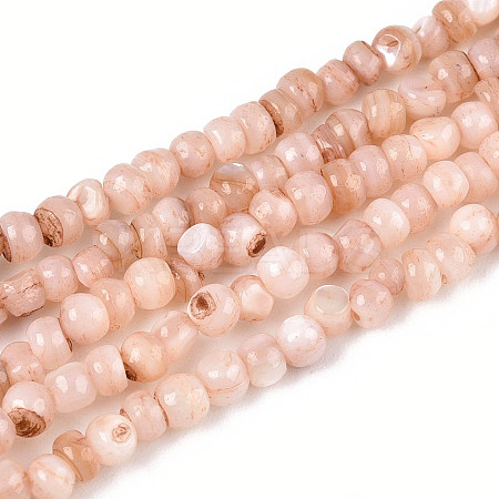 Natural Freshwater Shell Dyed Beads Strands SHEL-T020-29B-05-1