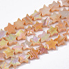 Freshwater Shell Beads Strands SHEL-N026-08C-1