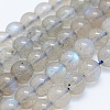 Natural Labradorite Beads Strands G-J373-14-4mm-1