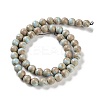 Natural Rainbow Alashan Agate Beads Strands G-NH0022-A07-02-3