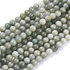 Natural Myanmar Jade/Burmese Jade Beads Strands X-G-K300-H03-A-2