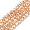 Natural Cultured Freshwater Pearl Beads Strands PEAR-L033-30E-1