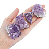 4Pcs 4 Style Natural Amethyst Clusters Ornaments G-FH0002-04-2