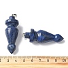 Natural Lapis Lazuli Pendants G-C187-01B-3