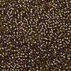 TOHO 11/0 Round Beads X-SEED-TR11-0389-2