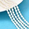 Natural Cultured Freshwater Pearl Beads Strands PEAR-I007-01N-01-1