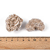 Natural Desert Rose Stone Geode Cornucopia Mineral Specimen G-N360-04B-4