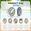 10Pcs Natural Paua Shell Cabochons FIND-BC0005-54-2