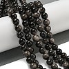 Natural Silver Obsidian Beads Strands G-S150-20A-8mm-2