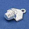 Alloy Pendants LS-FIND-Z055-03S-2