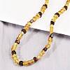 Natural Amber Beaded Necklaces NJEW-L466-01-2