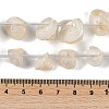 Natural Shell Beads Strands X-SHEL-K009-11-4
