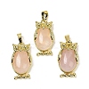 Natural Rose Quartz Pendant KK-F887-02G-15-1