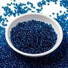 MIYUKI Round Rocailles Beads SEED-G008-RR0149-2