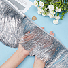 Polyester Fringe Trimmings OCOR-WH0086-09A-3