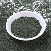 MIYUKI Round Rocailles Beads X-SEED-G007-RR0501-4