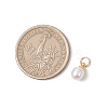 Natural Cultured Freshwater Pearl Rice Charms PALLOY-JF04820-3