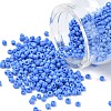 8/0 Glass Seed Beads X1-SEED-A010-3mm-43B-1