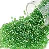 TOHO Round Seed Beads SEED-JPTR11-0167-1