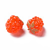 Handmade Lampwork Beads LAMP-T011-14A-3