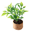 Platic Miniature Ornaments PW-WG84498-01-1