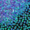 2000Pcs UV Plating Resin Charms RESI-NB0002-17D-6