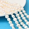 Natural Cultured Freshwater Pearl Beads Strands PEAR-P064-19K-05B-1
