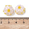Handmade Lampwork Enamel Beads LAMP-Z020-05C-3
