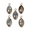 Natural Labradorite Faceted Pendants G-G193-01G-10-1