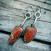 Alloy Enamel Dangle Earrings FS-WG6E131-04-1