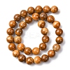 Natural Alashan Agate Beads Strands G-H343-D05-12mm-C-3
