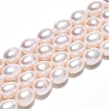 Natural Cultured Freshwater Pearl Beads Strands PEAR-N012-23C-01-2