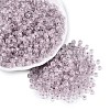 FGB Grade A Transparent Glass Seed Beads SEED-Q040-03A-04-2