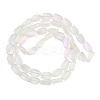 Electroplate Glass Beads Strands EGLA-C009-01B-HR02-2