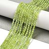Natural Xiuyan Jade Beads Strands G-Z074-A04-02-1