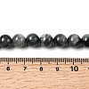 Natural Eagle Eye Stone Beads Strands G-G344-A05-8mm-5