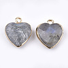 Electroplate Natural Labradorite Pendants X-G-T112-03A-2