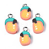 Handmade Polymer Clay Charms CLAY-S096-019-1