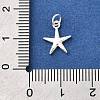 925 Sterling Silver Charms STER-Q003-01C-S-3