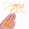11/0 Grade A Baking Paint Glass Seed Beads X-SEED-N001-A-1066-4