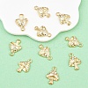 10Pcs Alloy Enamel PandantsYSC2025071598
 ENAM-YW0006-27A-1