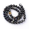 Natural Black Lip Shell Bead Strands SSHEL-S252-06-2